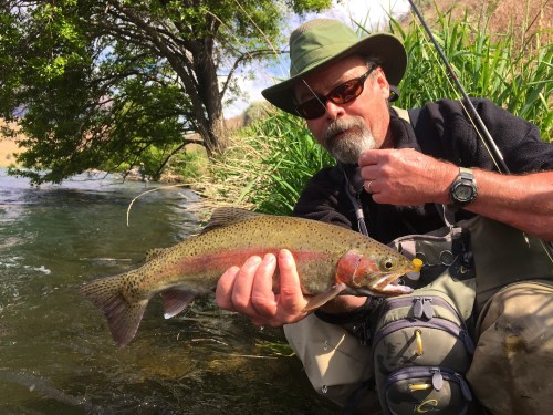 Steve Hanson with a football-shaped Deschutes River redside.